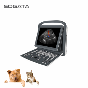 SG10P VET Color Doppler