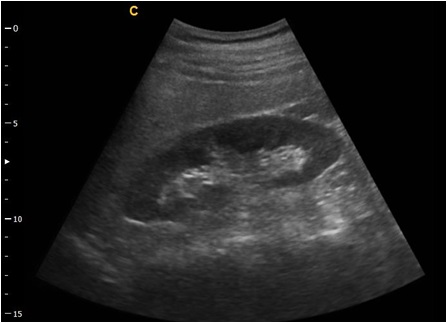 01 Clinic Image Sogata